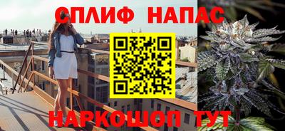 гашик Кинель
