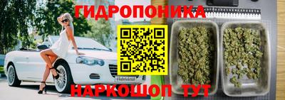 гашик Кинель