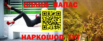 прущие грибы Кингисепп